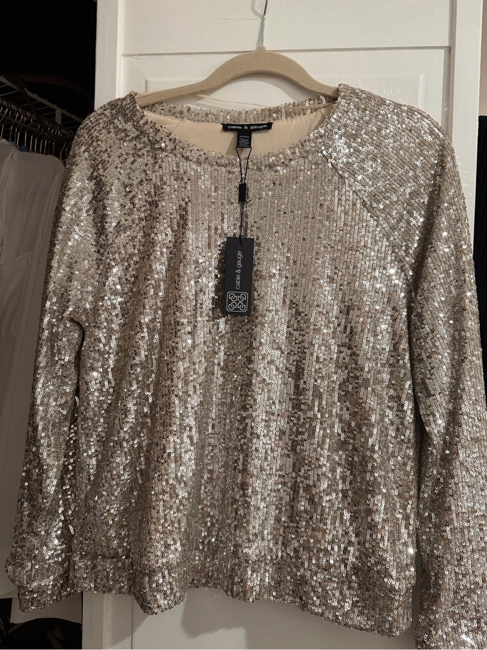 Cable & Gauge Champagne Silver Color Sequin Long-Sleeve Dress - Picture 3 of 4